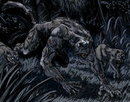 A werecat terrorizing Creigiau forests accompanied by his pumas.