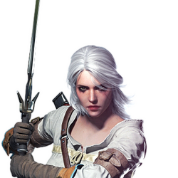 Witcher Wiki Fandom Assassins of kings & the witcher. witcher wiki fandom
