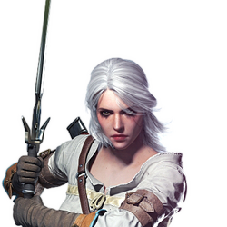 Witcher Wiki