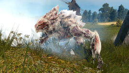 Tw3 the apiarian phnatom