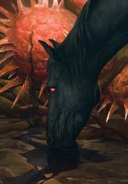 The Ghost In The Tree Witcher Wiki Fandom