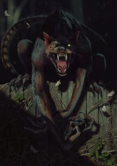 Котолак