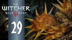 The Ghost In The Tree Witcher Wiki Fandom