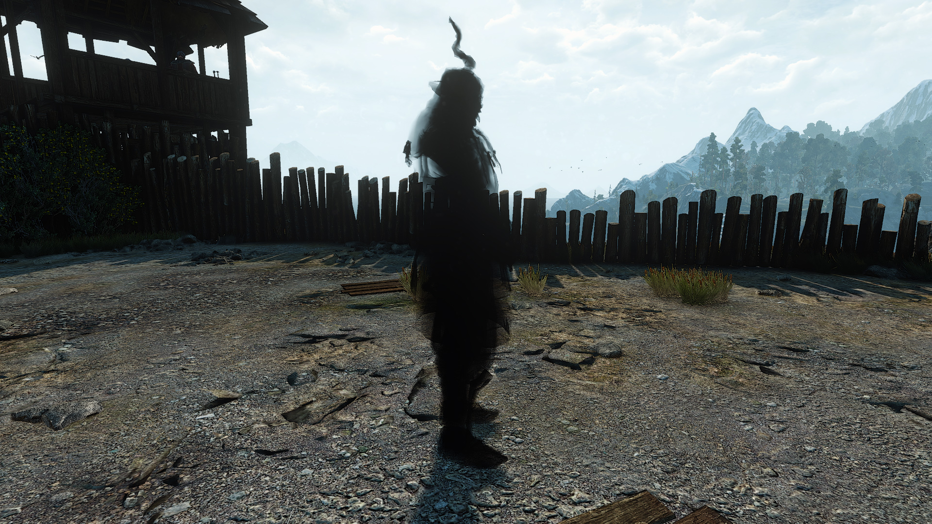 witcher 3 master of the arena
