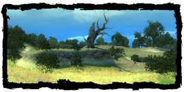 Places Raspberry Patch