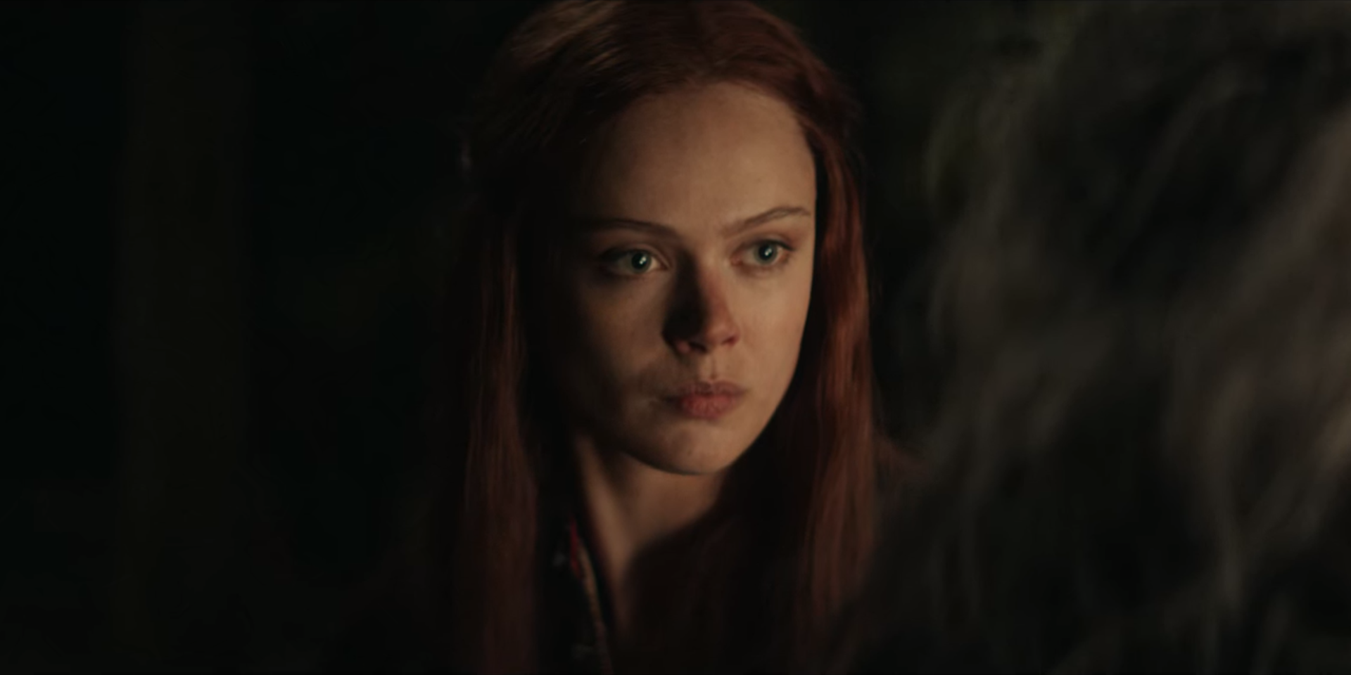 Witcher the frida gustavsson The Witcher