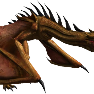 Wyvern Witcher Wiki Fandom See more of viverna on facebook. wyvern witcher wiki fandom