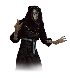 Tw3 journal wraith from the painting