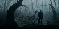 En la serie de TV The Witcher