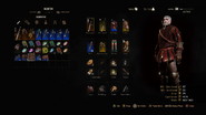 The Witcher 3 Wild Hunt Inventory OLD RGB