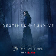 Netflix s2 yennefer poster