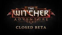 The Witcher Adventure Game Closed Beta Trailer
