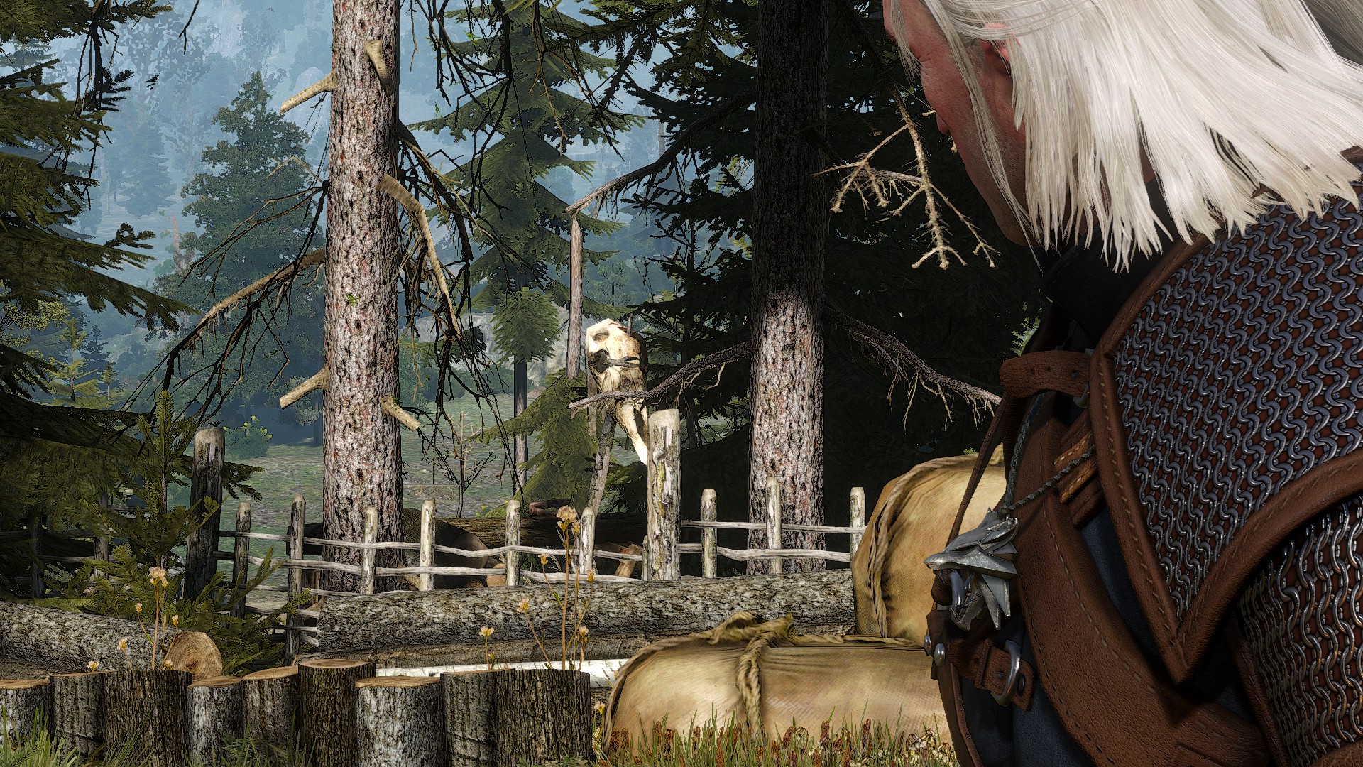 the witcher 3 hard times the witcher 3 hard times