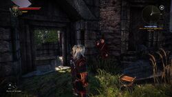 The Witcher 2 Mysterious Merchant, If he isn't in your game…