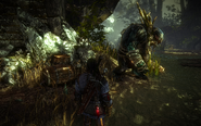 Witcher2-troll-02