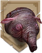 Trofeum echinopsa pospolitego w bestiariuszu gry Wiedźmin: Pogromca Potworów