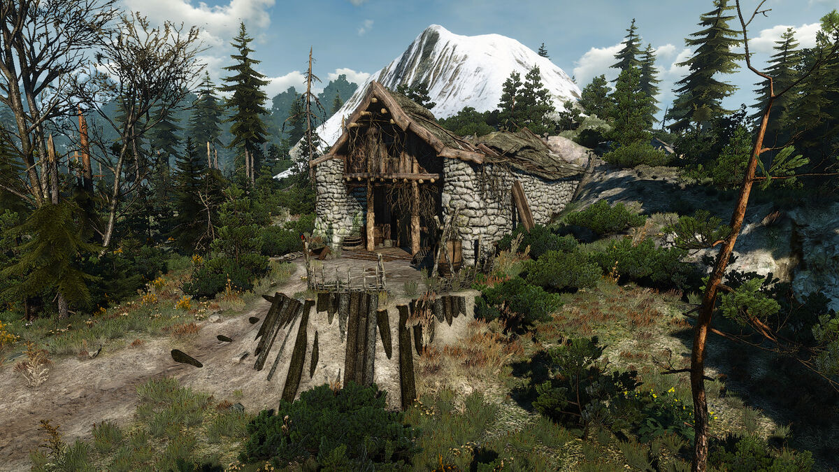 The witcher 3 quests skellige фото 106