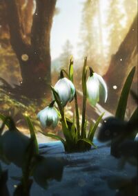 Gwent cardart neutral thaw.jpg