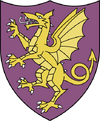 COA Hengfors League dragon