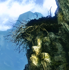 The harpy lair is located past the old quarry outside of Vergen. 