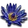 Tw3 blue lotus