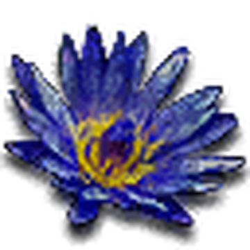 Blue Lotus Flower Witcher Wiki Fandom