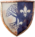 COA used on TW3 in-game map