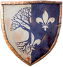 COA Velen Tw3