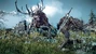 The Witcher 3