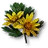 Tw3 celandine