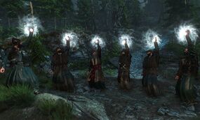 Tw3 Skellige druids