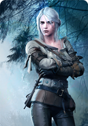Gwent card art in The Witcher 3