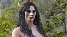 Tw3 skellige succubus