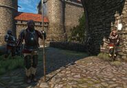 Guarding Novigrad