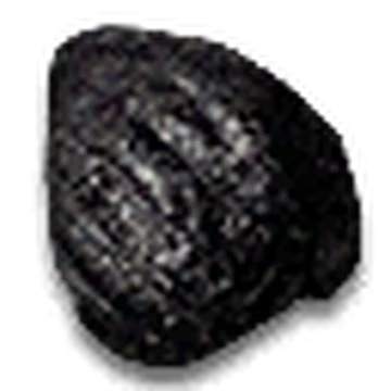 Monster Carapace Witcher Wiki Fandom