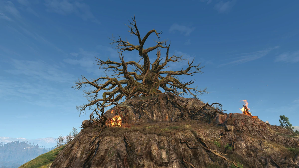 Bald Mountain (location) Witcher Wiki Fandom