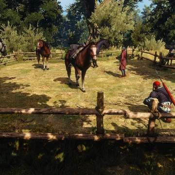Spooked Mare | Witcher Wiki | Fandom Spooked Mare | Witcher Wiki | Fandom