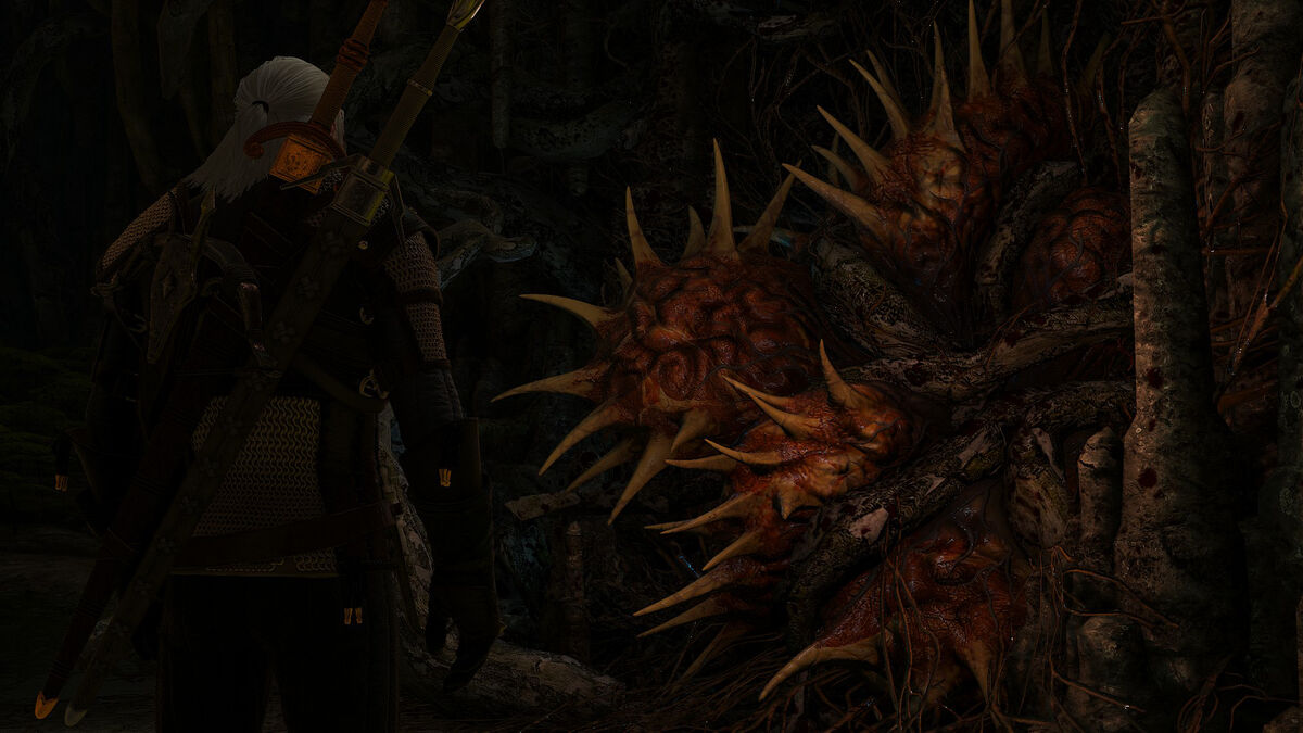 In the Whispering Hillock quest line in The Witcher 3, is it morally better  to free the tree spirit or slay it? - Quora