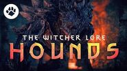Hounds of the wild hunt What are Hounds Witcher Lore and Theories