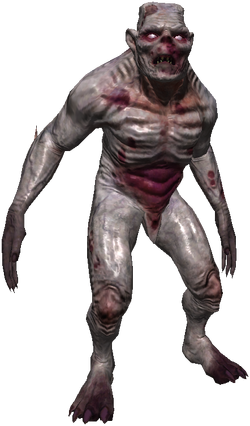 Bestiary Ghoul full.png