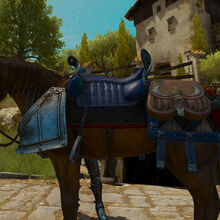 Sir Geralt Of Rivia S Saddle Witcher Wiki Fandom Geralt showed signs of enchantment as he watched the sun rays shine down onto her porcelain skin. sir geralt of rivia s saddle witcher