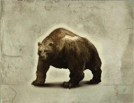 Bear in TWAG.png