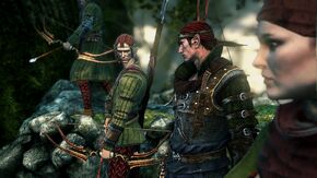 Scoia'tael in The Witcher 2