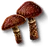 Tw3 cortinarius
