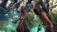 Spectres dans « The Witcher 2: Assassins of Kings »