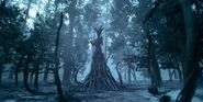 Mutated Leshy in Netflix's The Witcher