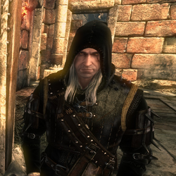 Category The Witcher 2 Epic Items Witcher Wiki Fandom