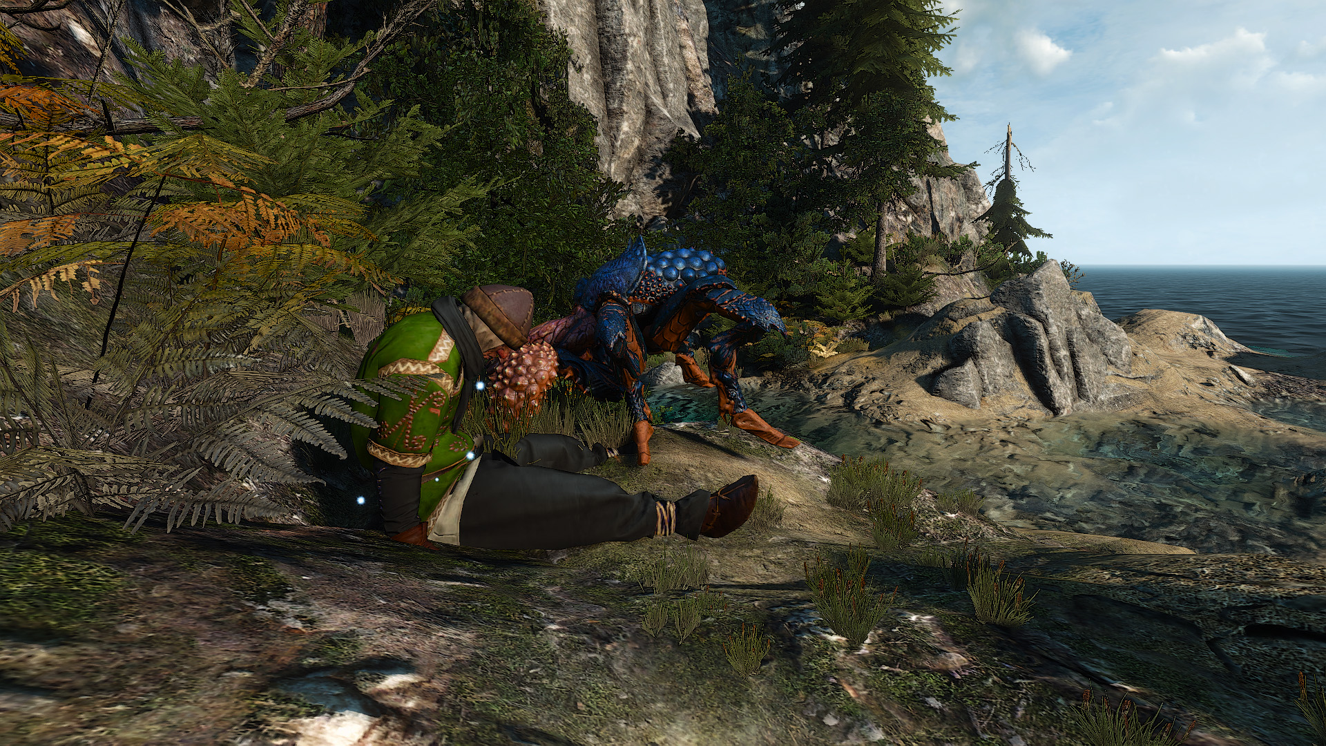 witcher 3 master of the arena bug witcher 3 master of the arena bug