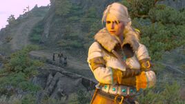 Tw3 skjall grave