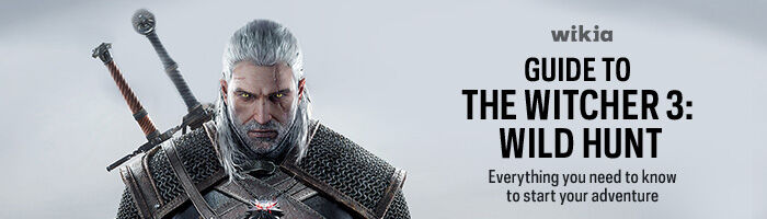 The Witcher 3: Wild Hunt Trophy Guide